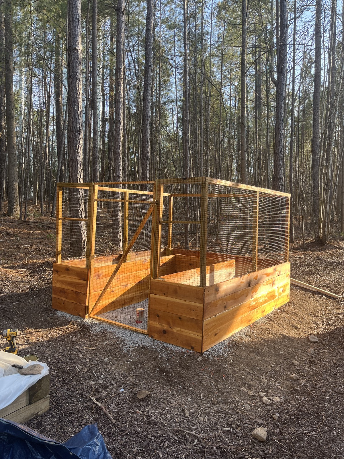 Mulched bed edge and trimmed shrub area beside a home.