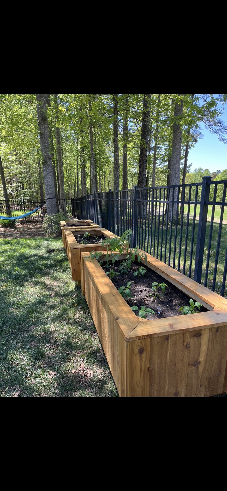 Custom cedar planter boxes built along a fence line.