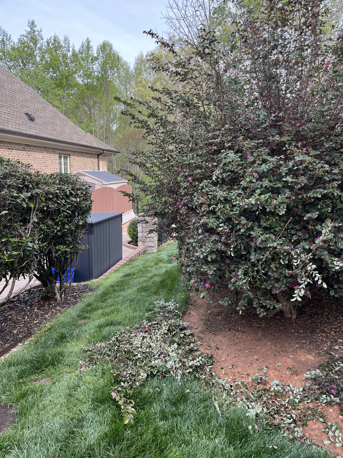 Cedar planter box enclosure under construction beside a home.