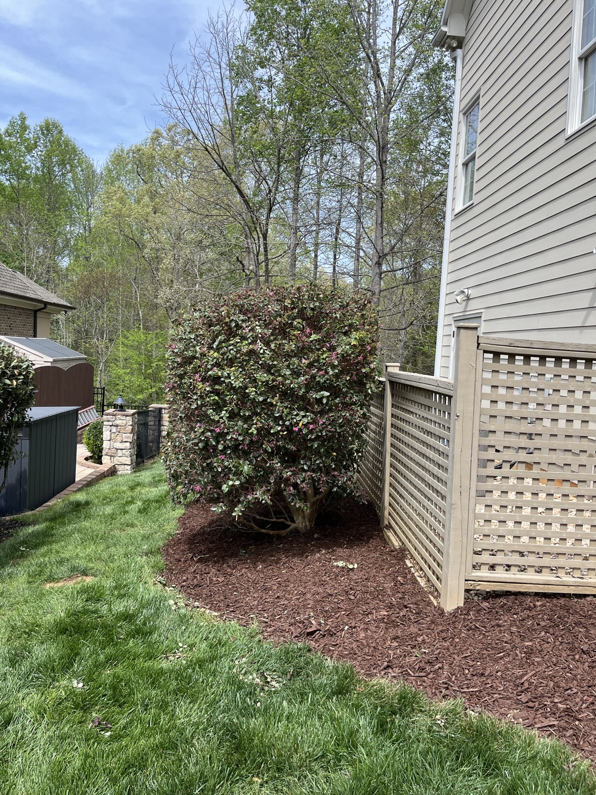 Completed cedar planter box enclosure in a wooded backyard.